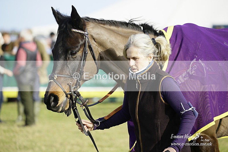 PtP 300122 299 - South Dorset Hunt - Point-to-Point Races 30/01/2022