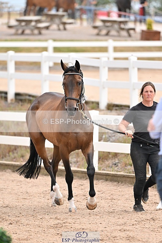 250716-151015-01712 - Trot Up 2.30 to 3.30