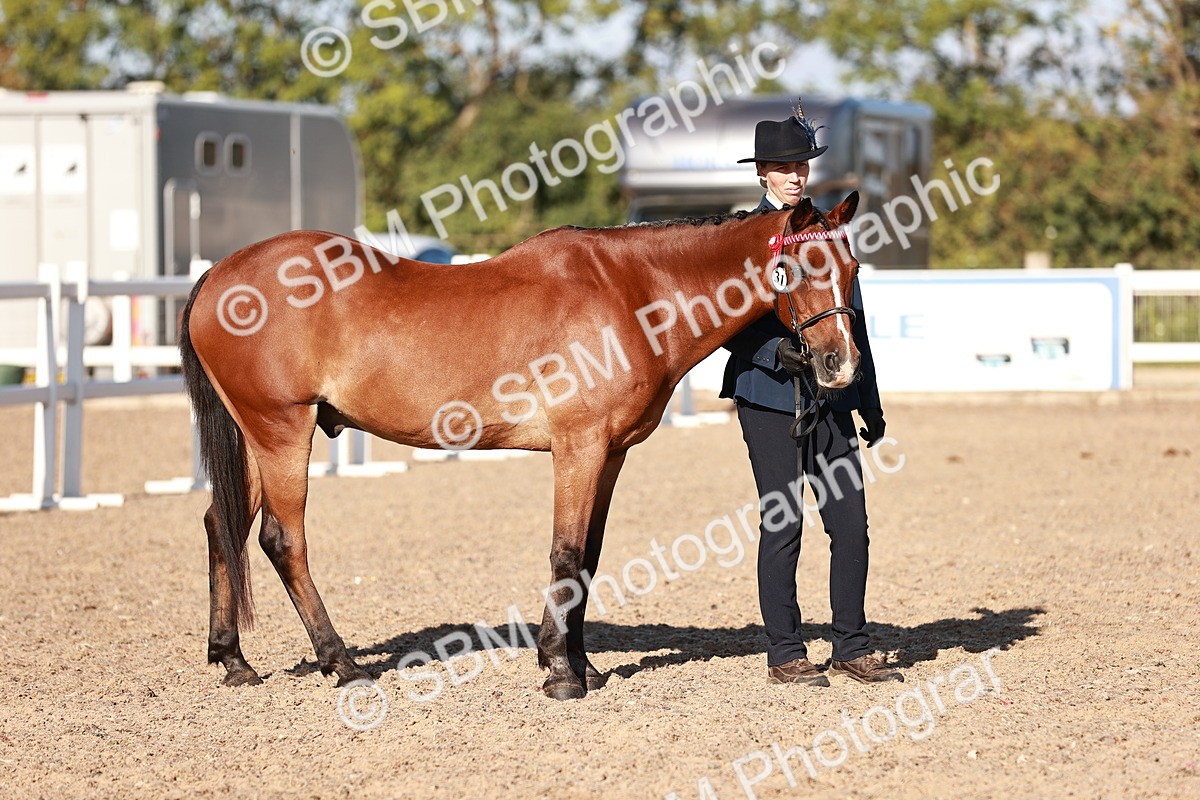 SBM_11438 - Class 402 - IH  Veteran pony