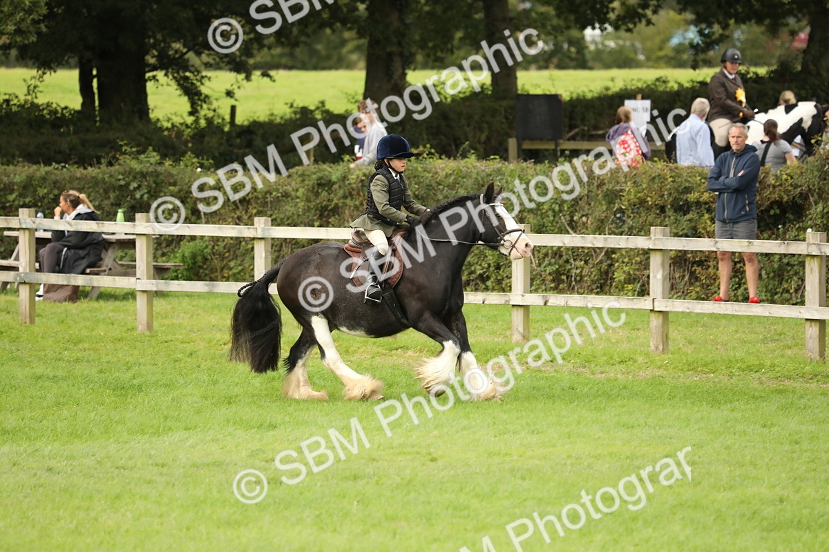 SBM_71694 - S41 - Ridden Equitation (Best Rider)