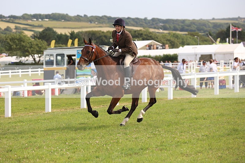 JPP_4256 - Class 25: Working Show Horse