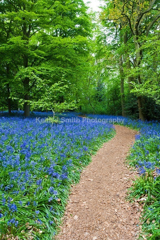 YR6M9802 - United Kindom