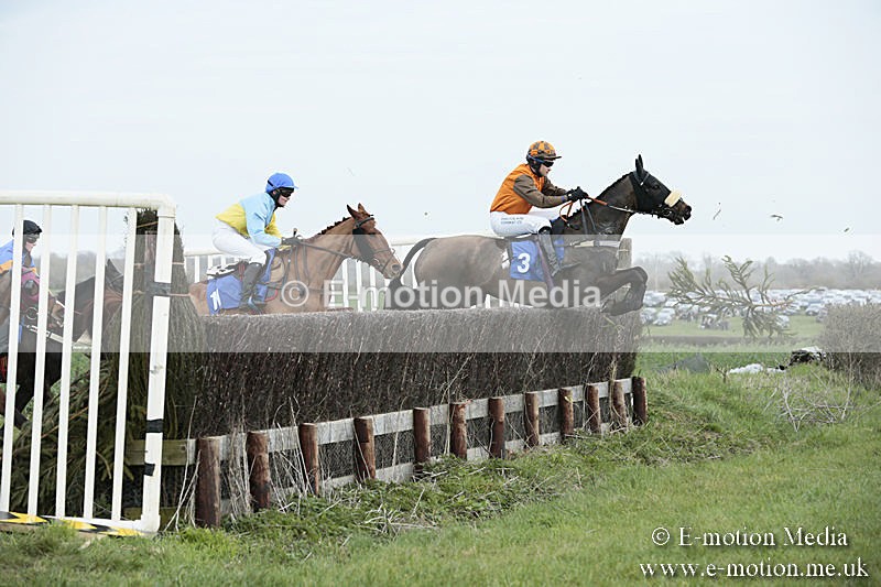 PtP 230319 115 - VWH Hunt Siddington Point-to-Point Racing 23/03/19