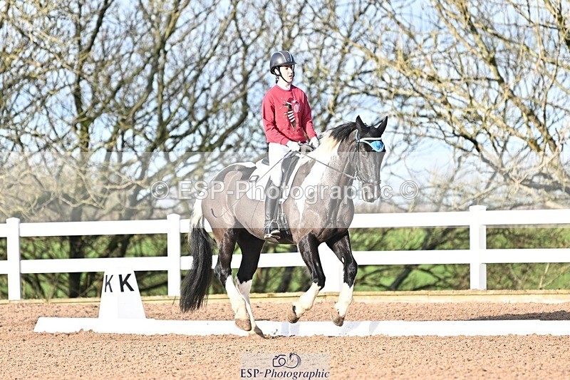 241214-112707-01403 - 130-Alys.Matravers-Tiger.Mazariti