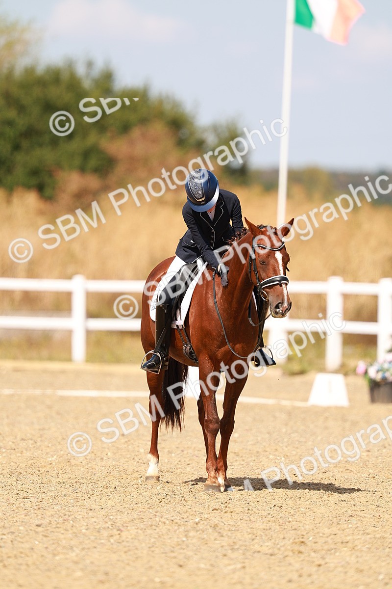 SBM_018350 - Class 9 - N5 Bronze 11.57.13.07