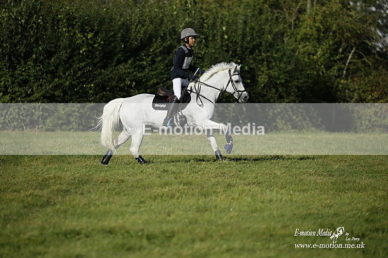  WWHT 031021 441 - WWEC Novice Restricted (0.80m) 18/10/20