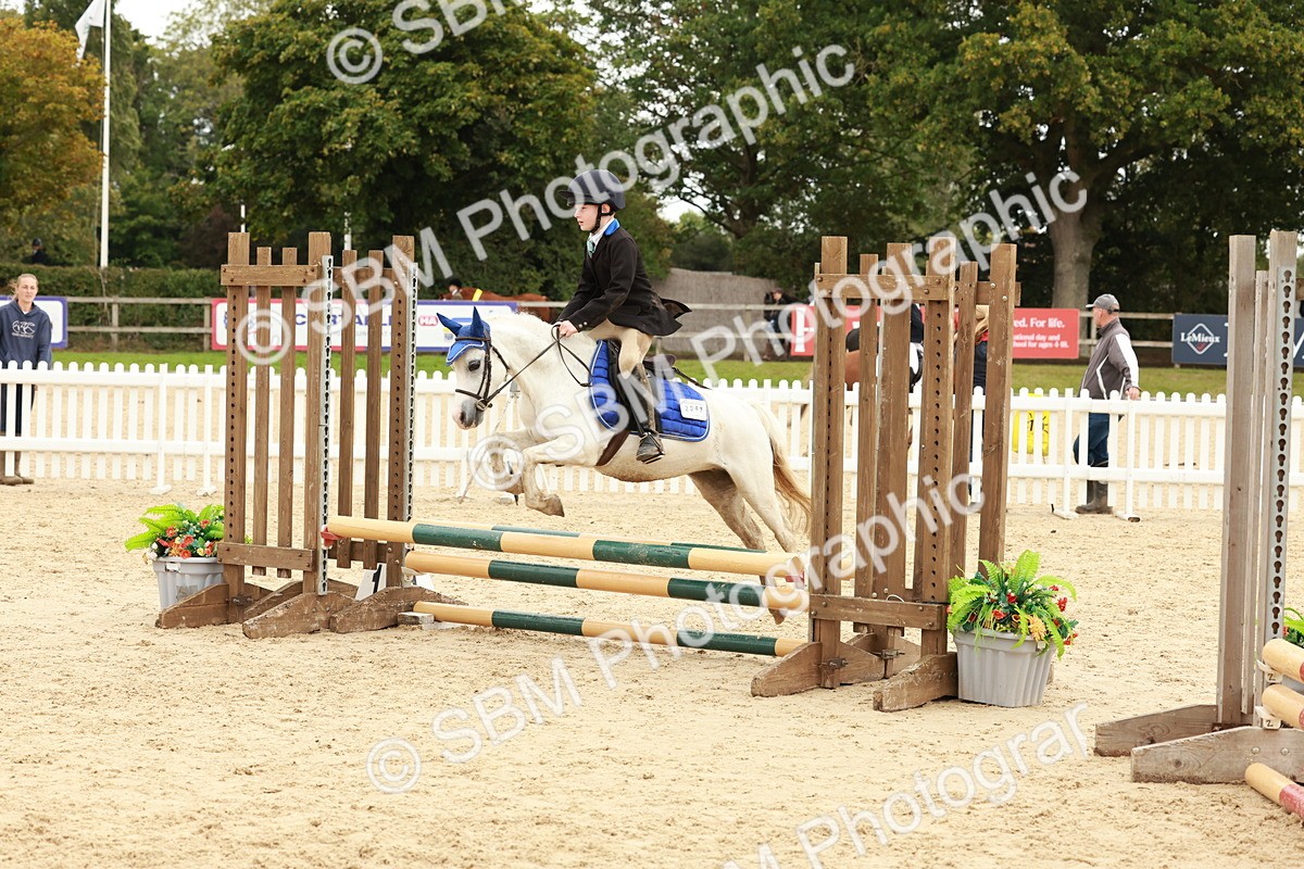 SBM_65236 - Supreme Championship 50cm & 55cm