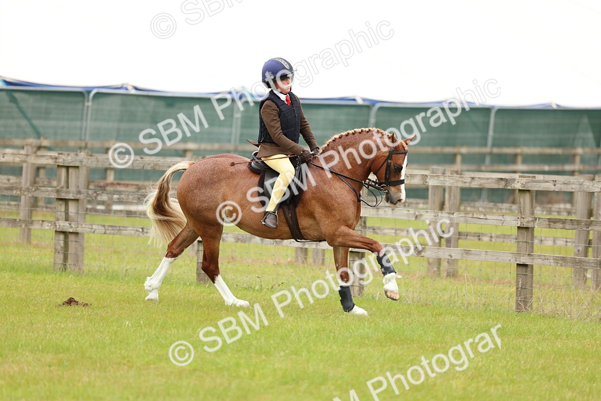 SBM_10279 - Class 44-45 - LIHS BSPS Open Nursery and Cradle Stakes