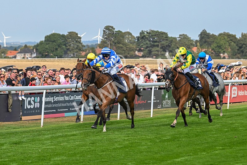 240825-Race 5-This Years Love-3402 - Race 5