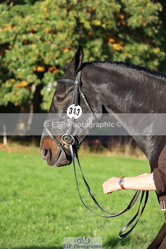 251026A-094518-22459 - D-343-Georgina.Owen