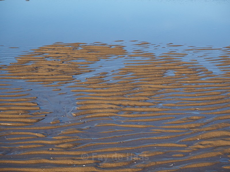 P12501120223 - Sea Shores