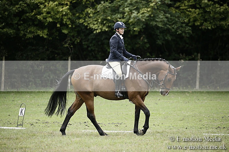 BVR080918 316 - BVRC Novice Dressage & CR 08/09/18