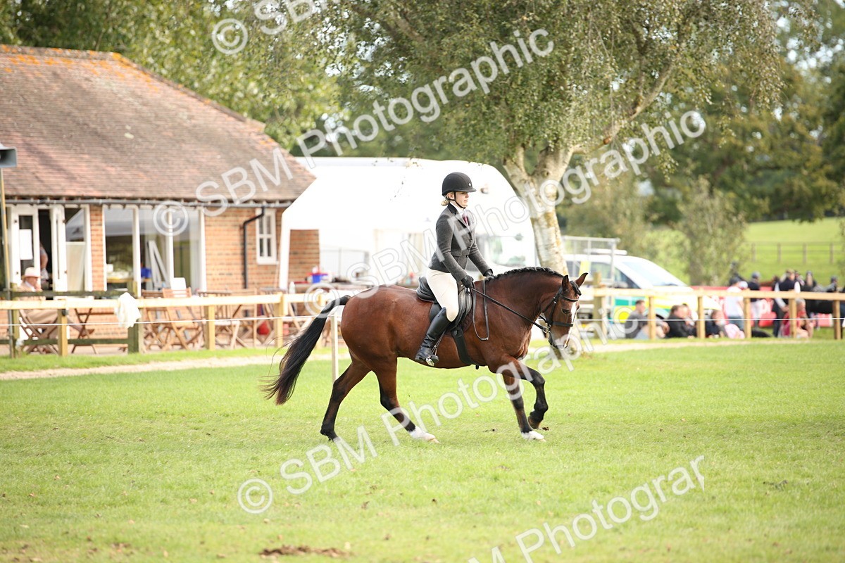 SBM_50237 - S26 - Young Veteran - Ridden