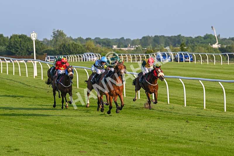 310524-Race 3-Lord Torranaga-8670 - Race 3