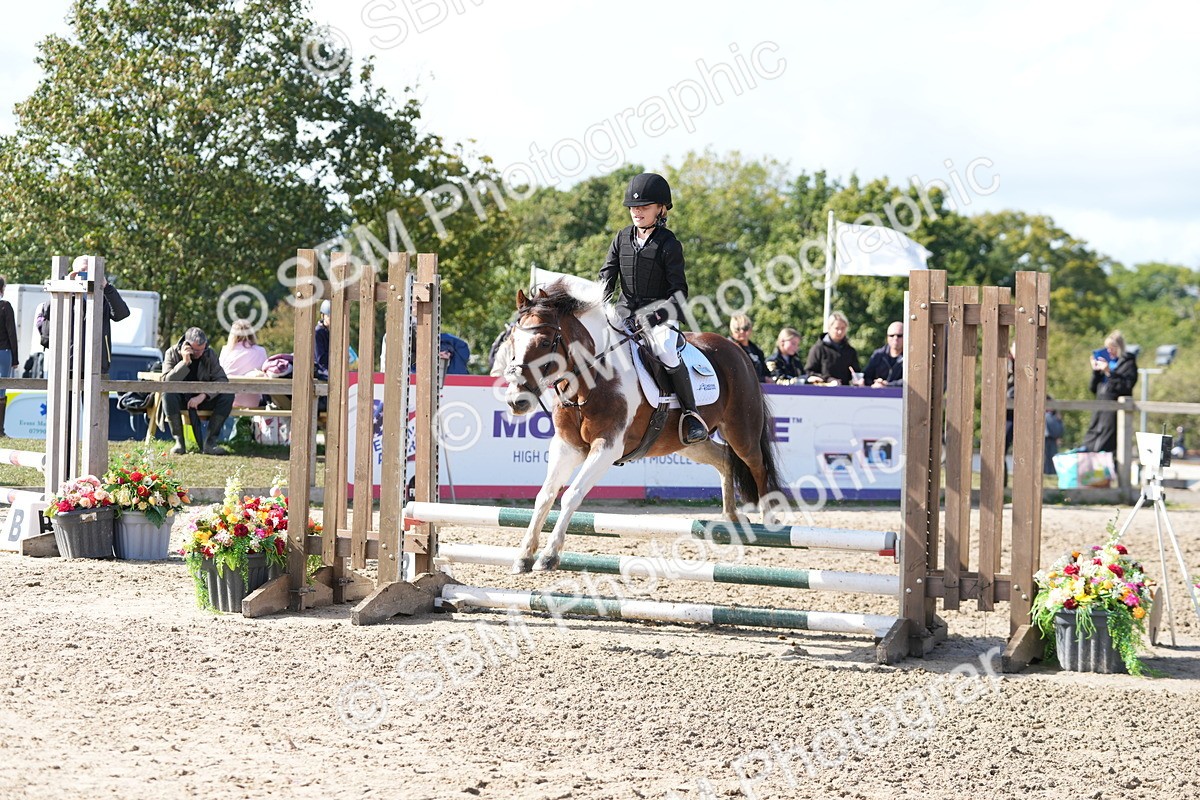 SBM_46576 - J7 - Junior Pony 60cm Championship