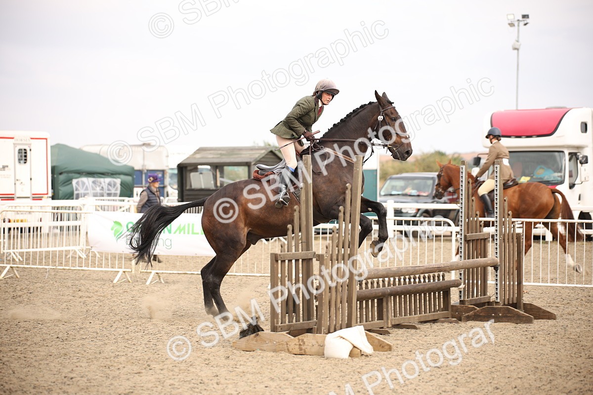 SBM_17096