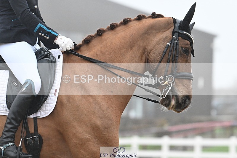 240217A-144439-03694 - 219-Jessica.Davies-Kadanz.II