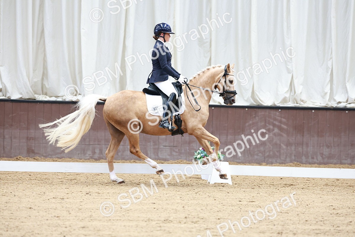 SBM_017323 - Class15 - FEI Pony