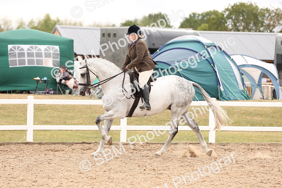 SBM_17249 - Class 213 - Ridden Hunter - Large