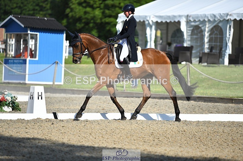 230525-091145-01554 - 303-JESMOND_RENARD-Susie_Berry-WEDTrotUp+DR