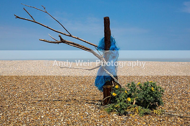 20140613-3K8A2371 - England
