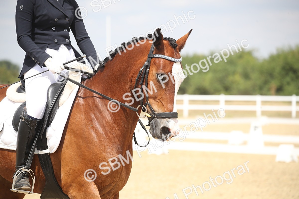 SBM_008227 - Novice 5 - 10.56-13.12