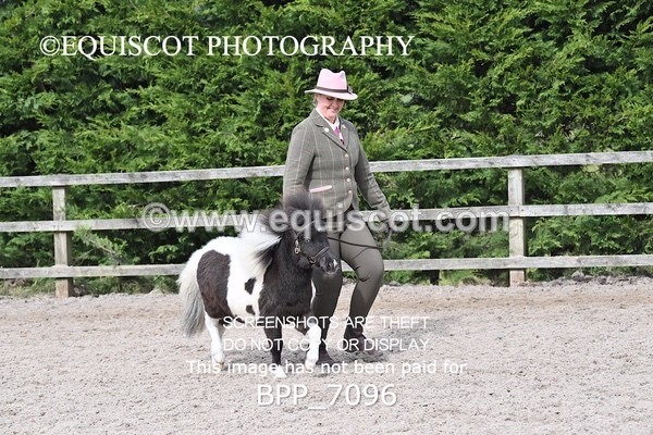 BPP_7096 - RING 1  (RIDDEN HORSES / IN HAND / VETERAN ETC)