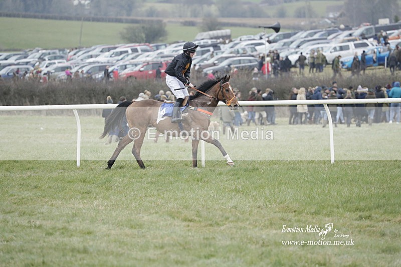 PtP 040323 611 - Duke of Beauforts Hunt Point-to-Point Didmarton 04/03/23