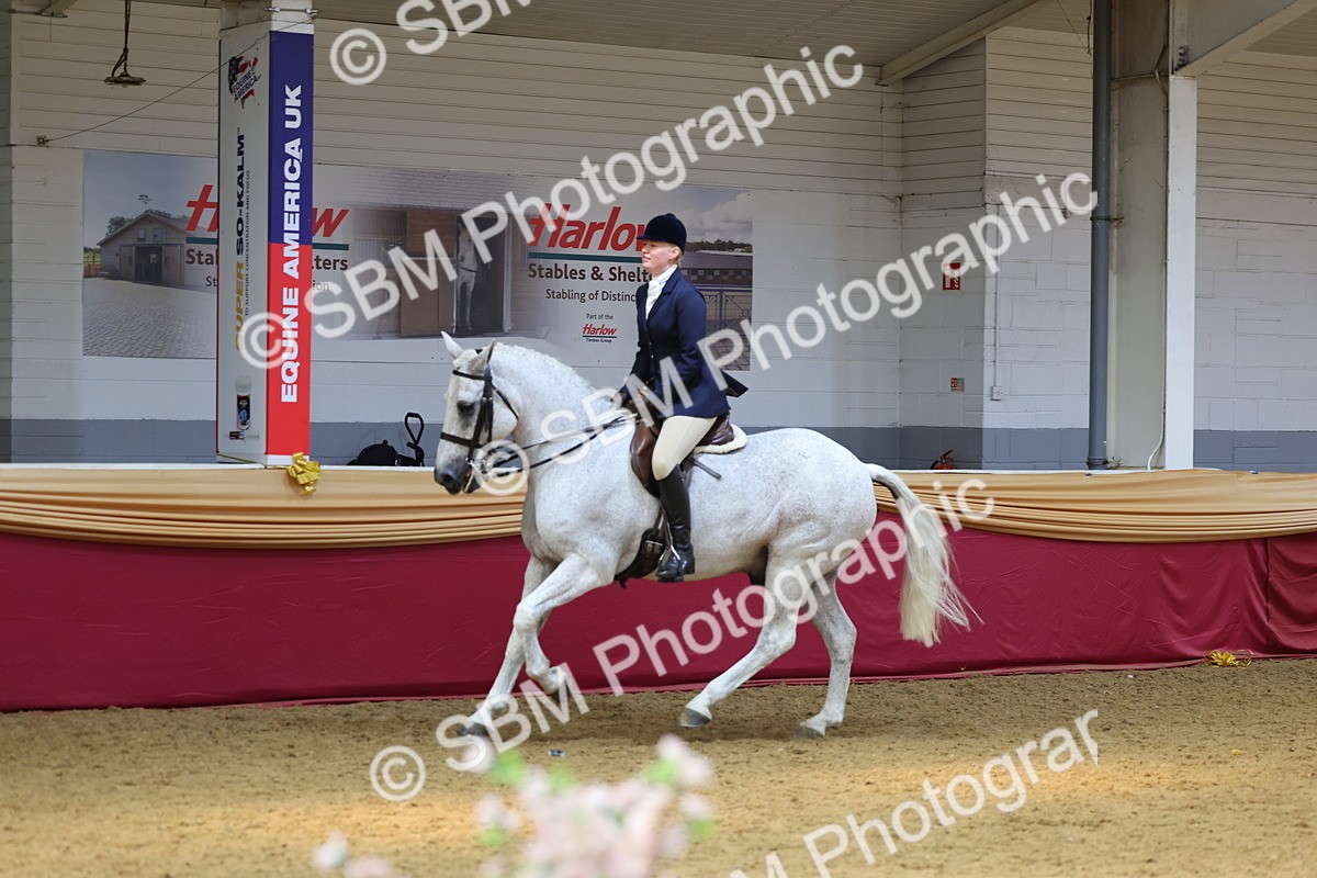 SBM_24108 - Class 905 - Supreme Final - Ridden Veteran