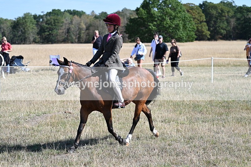WJ7_4071 - Class 9 Mountain & Moorland Ridden