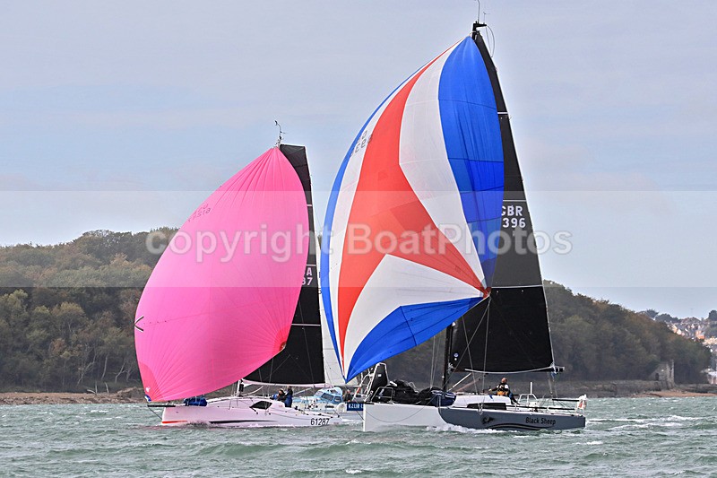 201010 BLACK SHEEP GBR8396 1Y3A8834_Edit - Sailboats - monohull