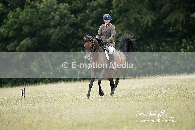 BVRC 030721 205 - Bourne Valley Riding Club Dressage 03/07/21