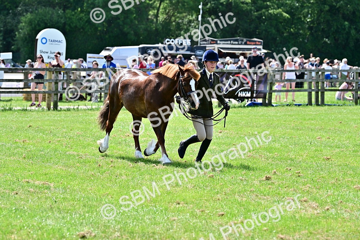 SBM_03877 - Class 58 - TSR  Ridden Veteran Amateur of the year