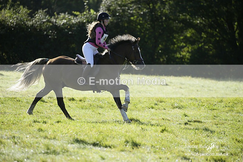  WWHT 031021 729 - WWEC Novice Restricted (0.80m) 18/10/20