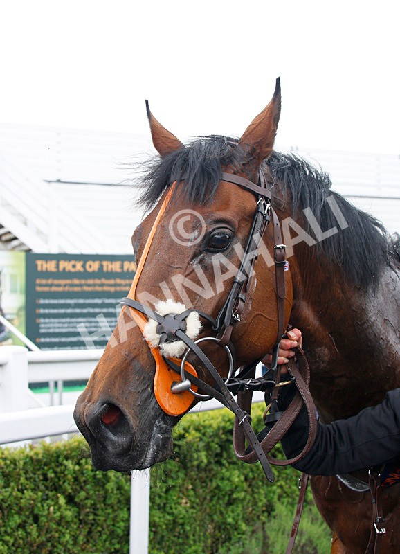 240525-Race 3-Zephlyn-33 - Race 3