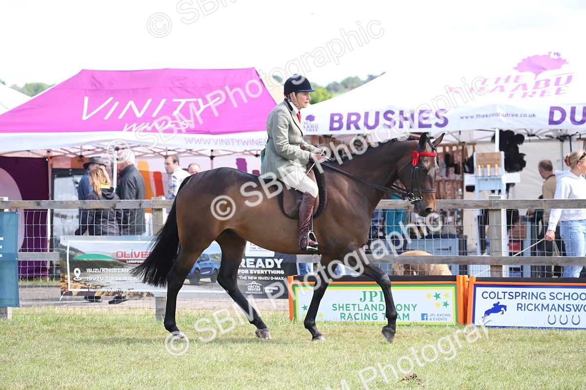 SBM_13312 - Class 95-96 - LIHS BSHA Rising Star Hack Riding Horse