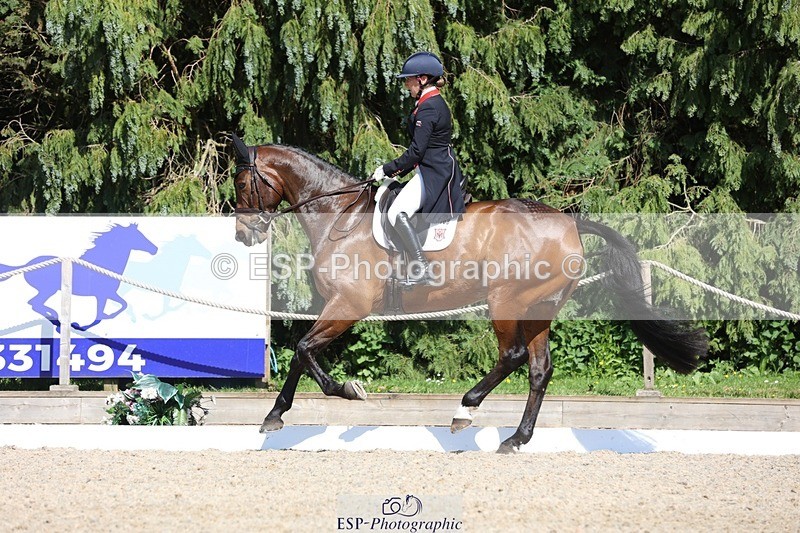 230526-160654-07756 - 168-PARKFIELD_ARTIE_BLOU-Laura_Collett-WEDTrotUp+DR