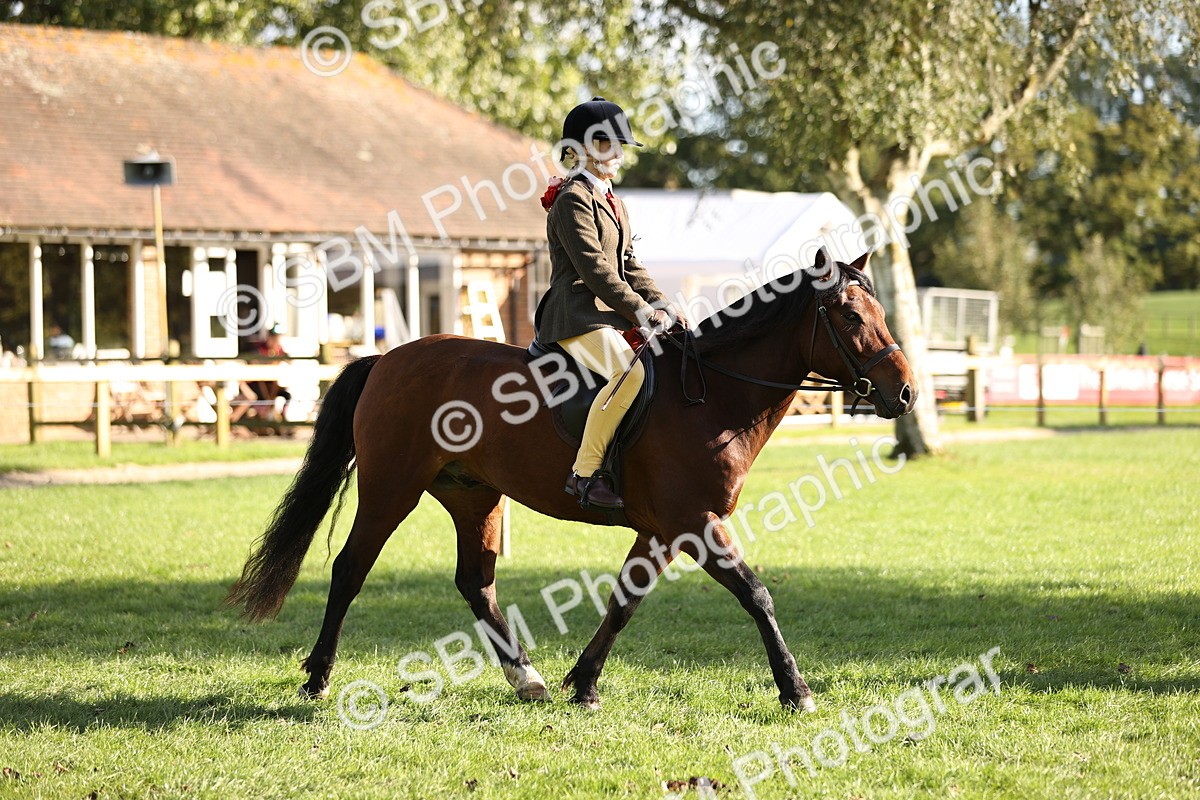 SBM_29332 - S7 - Novice & Newcomers Ridden Pony