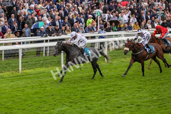 130724-Race 4-Alsakib-2075 - Race 4 3.45pm John Smith's Silver Cup Stakes