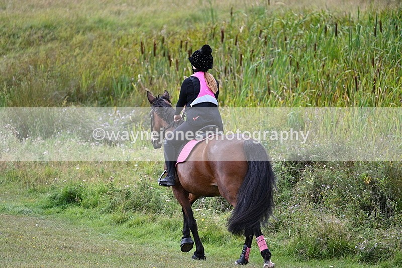 WJ7_6078 - Time 11:50 to 12:09