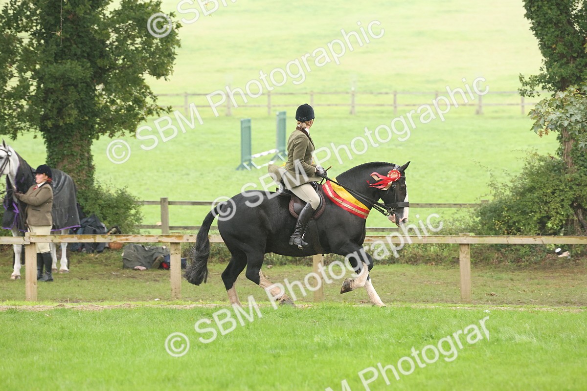 SBM_72956 - Ridden Horse Supreme Championship