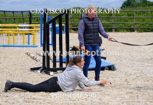 equiscotF5955 - STALLION SELECTION