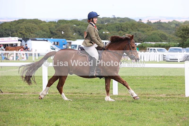 JPP_3863 - Class 23: Working Hunter 80cm