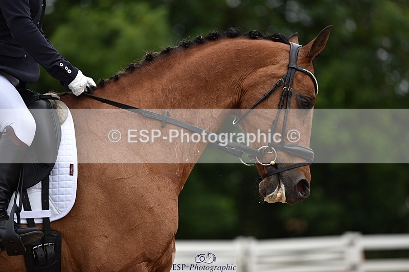 240623A-112236-17121 - Cls 47 BD Novice 22