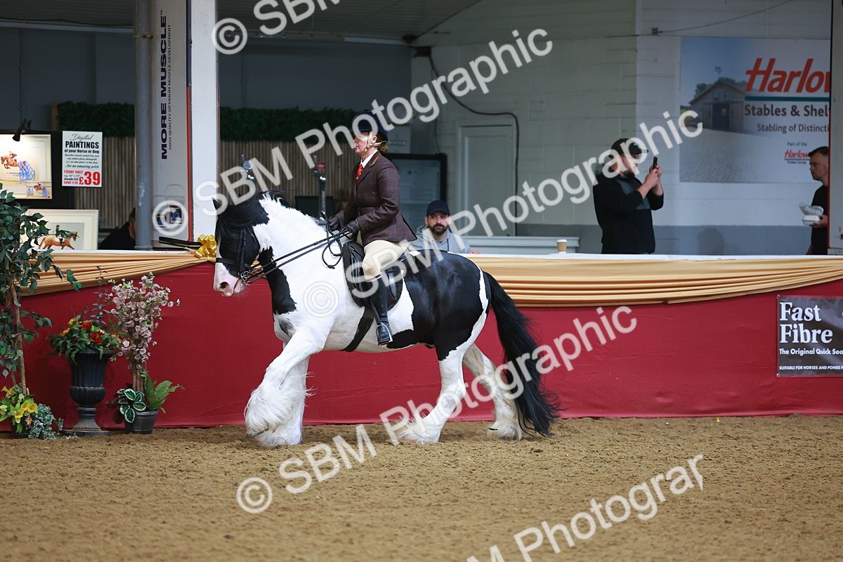 SBM_09753 - Class 102 - HOYS Veteran Qualifier - Ridden Veteran