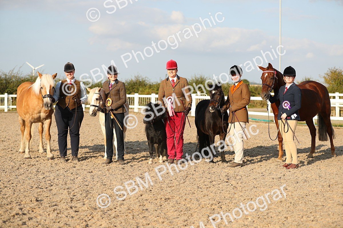 SBM_09148 - Class 29 IH Veteran Pony