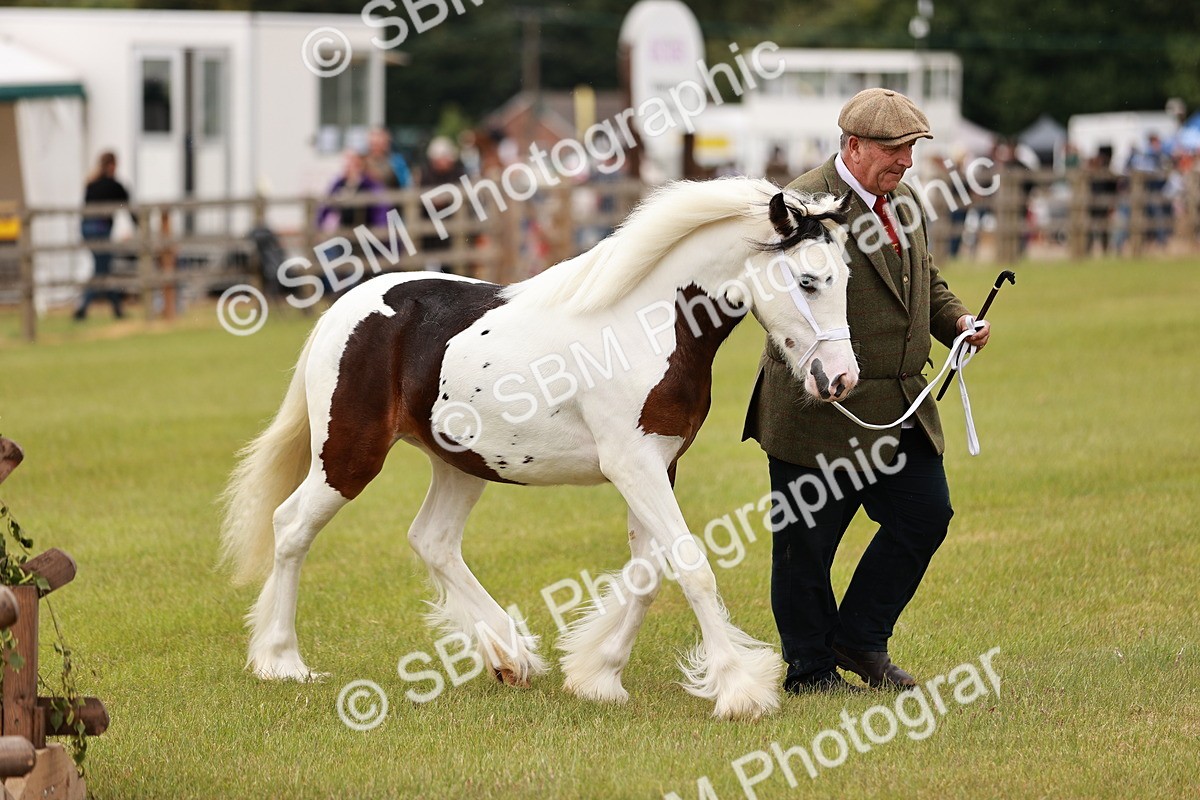 SBM_04548 - Class 5-8 - BSPA In hand