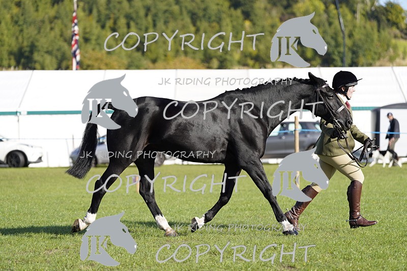 _DSC9532 - Class 8 & 17 Ridden Hunter & Ridden Hunter Pony