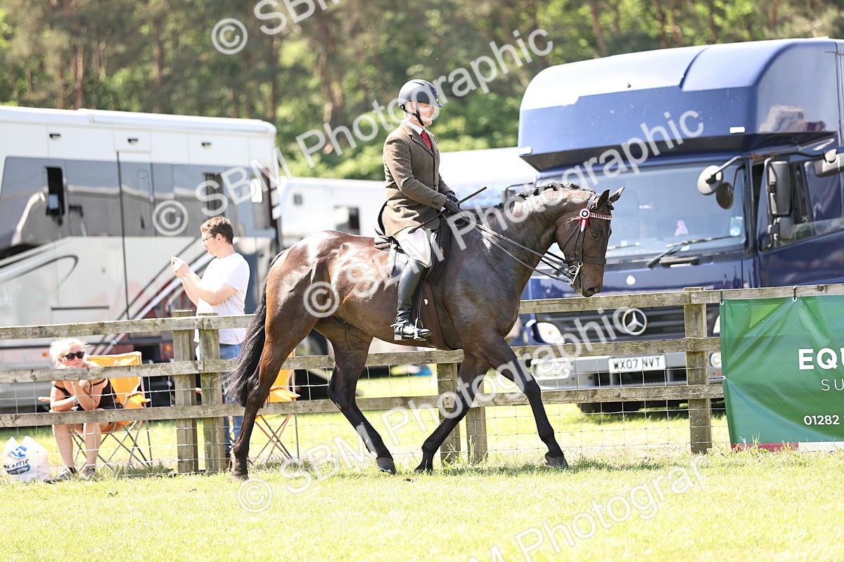 SBM_14813 - Class 78 - LIHS BSHA Open Racehorse & Show Horse