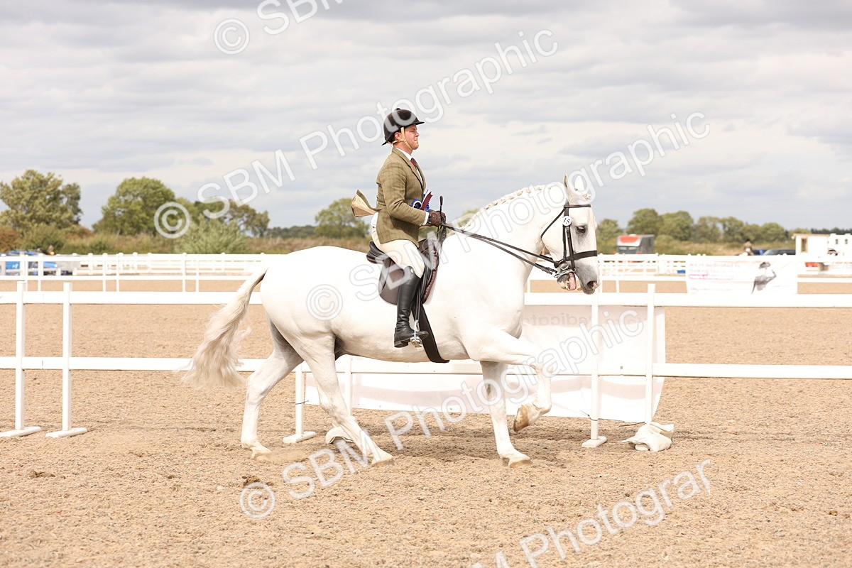 SBM_17286 - Class 213 - Ridden Hunter - Large